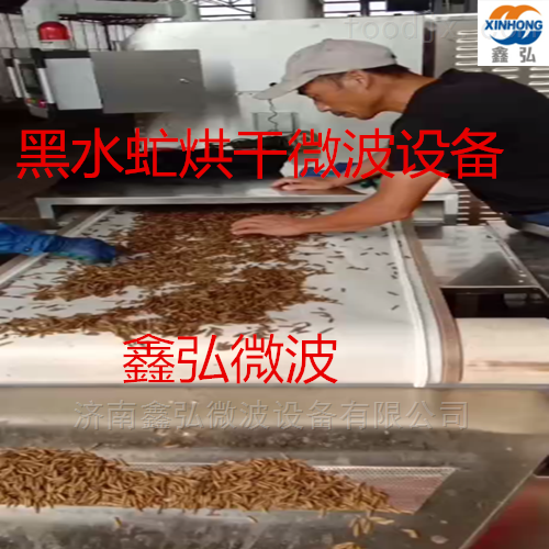 黄粉虫微波烘干设备 厂家直供