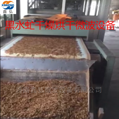 黑水虻微波烘干设备