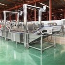 新款冬瓜皮氣泡清洗機(jī)  水果蔬菜清洗流水線