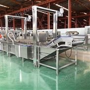 新款冬瓜皮氣泡清洗機  水果蔬菜清洗流水線