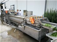 根莖類蔬菜加工生產線專用清洗設備 渦流清洗機