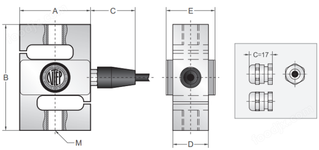 美國傳力Transcell BSS稱重傳感器尺寸