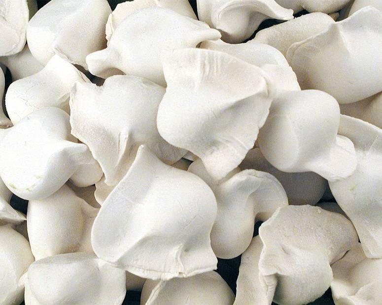 牛肉大葱馅水饺液氮速冻柜