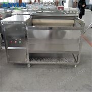 中藥材毛輥清洗流水線